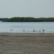 2007-08-13 09-28-06_Chukina